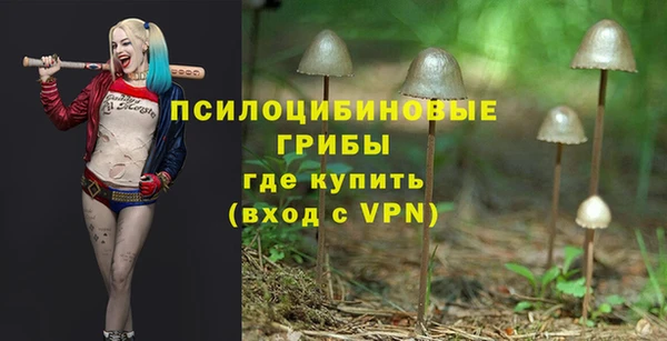 гидра Алзамай