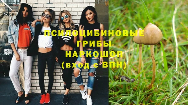 мескалин Алексин