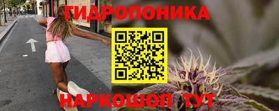 мет Бийск