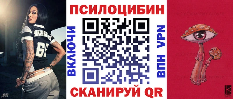 дарнет шоп  Жуковский  mega ССЫЛКА  Галлюциногенные грибы Psilocybe 